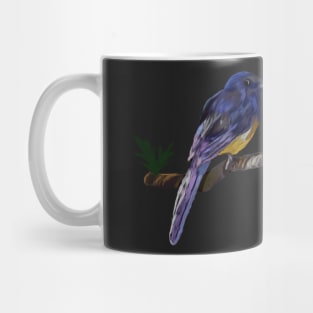 White-rumped Shama Thrush, Bird Mug